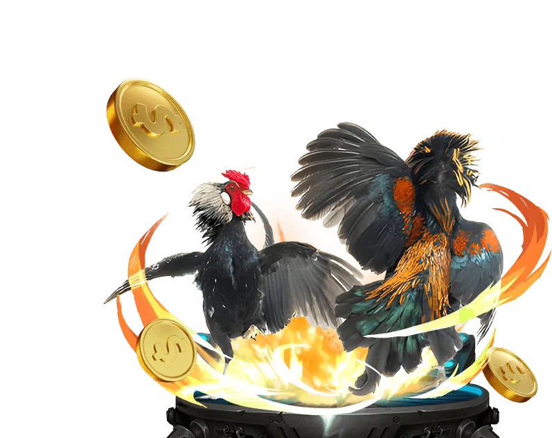 Hình ảnh tổng hợp các trò chơi cá cược thể thao, sòng bạc trực tiếp và máy đánh bạc