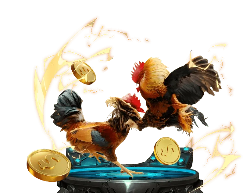 Tính năng nổi bật sau khi đăng nhập ok8336